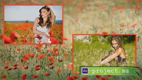 Red Poppy! - Project for Proshow Producer