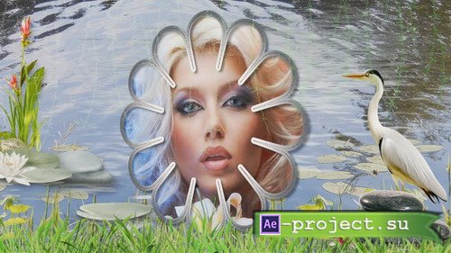  3D  - Project for Proshow Producer