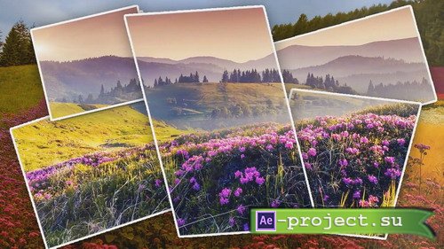 Lavender - Project for Proshow Producer