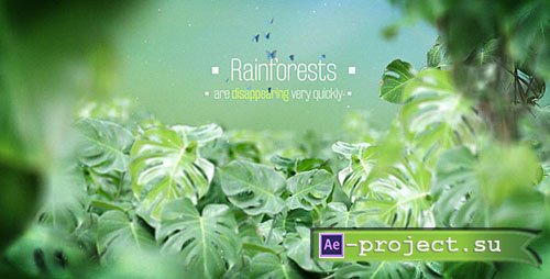 Videohive: The Rainforests Titles - Project for After Effects 