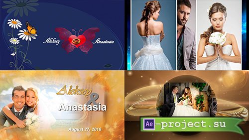 Wedding Elegant Slideshow v3 - Project for Proshow Producer