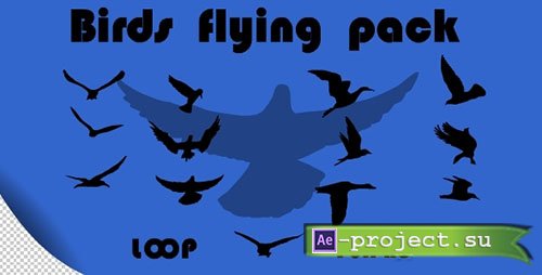 Videohive: Birds Flying Pack - Motion Graphics 