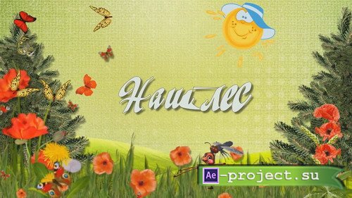  ProShow Producer -  