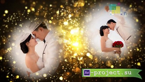  ProShow Producer - Wedding Library Proshow Producer Gold Particles Postcard Opener