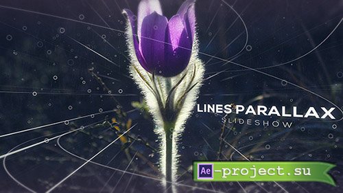 Videohive: Lines Parallax Slideshow - Project for After Effects 