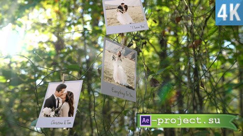 Videohive: Photo Memories on Trees - Project for After Effects 