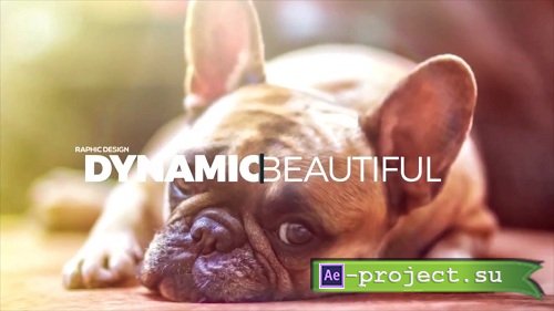 Positive Opener - After Effects Templates 
