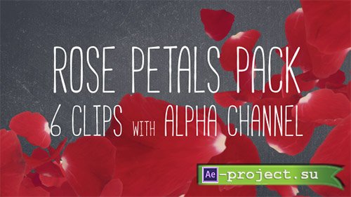 Videohive: Rose Petals Pack - Motion Graphics 