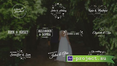 Wedding Titles 28531 - After Effects Templates