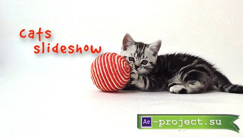 Videohive: Cats Slideshow - Project for After Effects 
