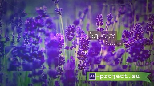 Squares Parallax - After Effects