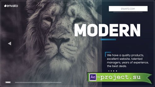 Videohive: Promo 19530484 - Project for After Effects 