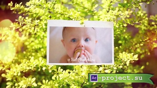 Summer Slideshow 36182 - After Effects Templates