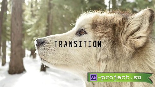 Wolf Character Animation Kit 36853 - After Effects Templates