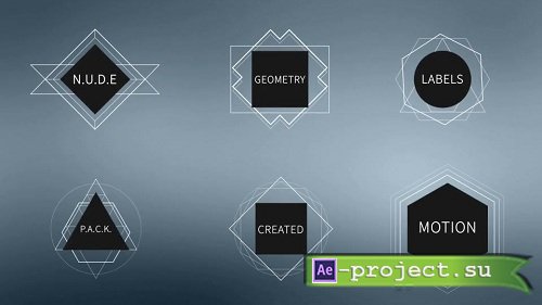 N.U.D.E Labels 20377 - After Effects Templates