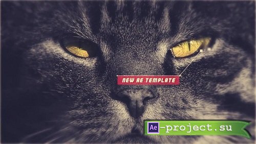Photo Project 39078 - After Effects Templates