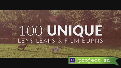 TOLERATED CINEMATICS: 4K Lens Leak Pro 100 Custom Elements Pack - MOTION GRAPHIC