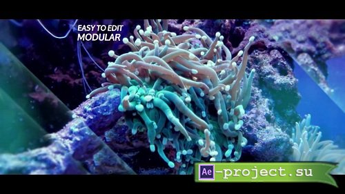 Underwater Sea Parallax Slideshow 44266 - After Effects Templates