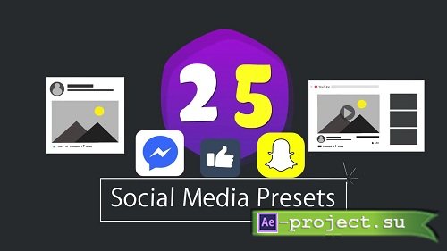Infographic Presets : 25 Social Media Icons - After Effects Templates