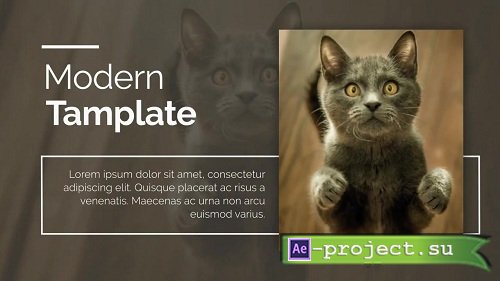 Promo - After Effects Templates