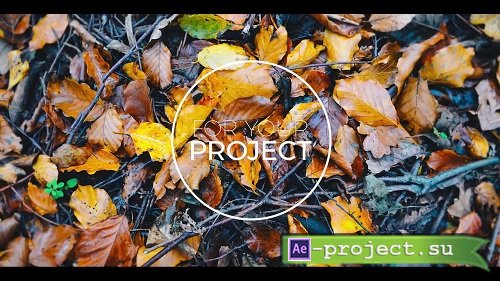 Parallax Slideshow Opener 50666 - Premiere Pro Templates