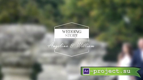 Wedding Titles Vol 4 - After Effects Templates