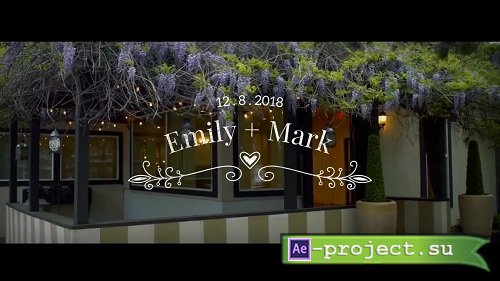 14 Wedding Titles 53534 - After Effects Templates