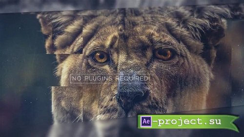 Lovely Slideshow 55059 - After Effects Templates