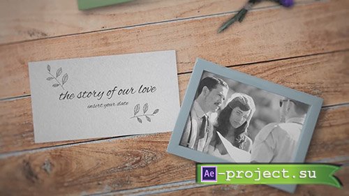 Wedding Opener 69207 - After Effects Templates 