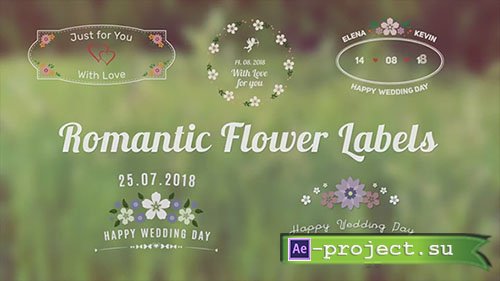 Romantic Flower Labels - After Effects Templates