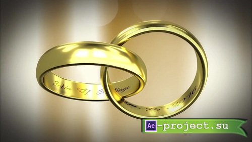 Gold Rings 87329 - After Effects Templates