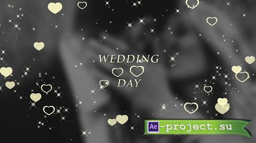 Wedding Titles 92645 - After Effects Templates
