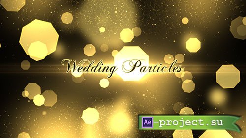 Videohive: Wedding Particles Opener - Project for After Effects 
