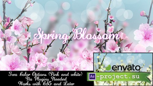 Videohive: Spring Blossom - Project for After Effects 