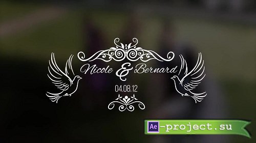 Wedding Titles 76608 - Premiere Pro Templates