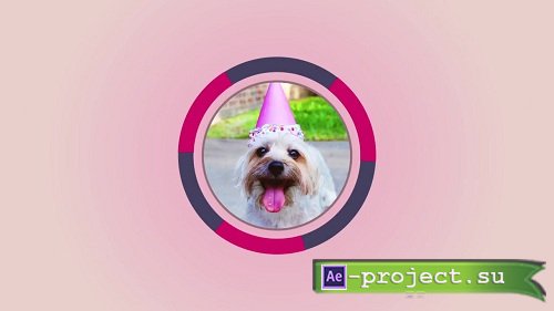 Fast Photo Intro 70589 - After Effects Templates