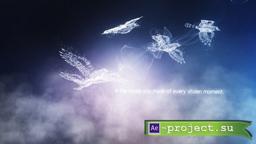 Videohive: Concept of Freedom - Project for After Effects 