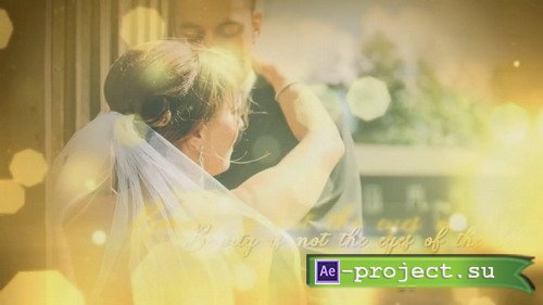 ProShow Producer - Wedding Gold Particles