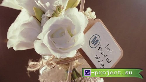 Six Wedding Invitations 102894 - After Effects Templates