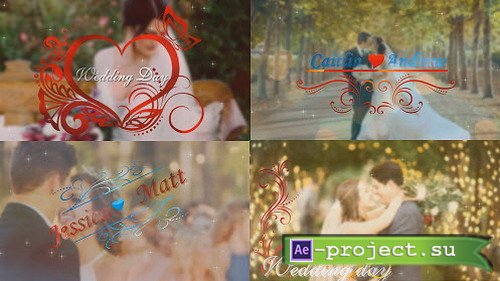  ProShow Producer - Wedding Title Pack 1