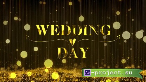 Wedding Promo 100492 - After Effects Templates