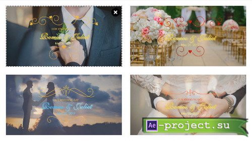  ProShow Producer - Wedding Title Pack 4