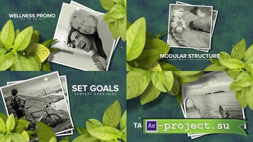 Videohive: Wellness & Health Promo - Project for After Effects 