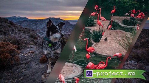 Transitions 99679 - Premiere Pro Templates