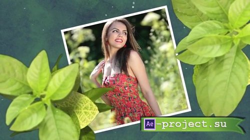 Wellness & Health - Project ProShow Producer