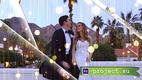 Wedding Promo 100492 - After Effects Templates