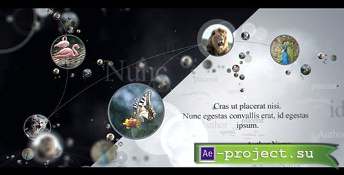 Videohive: Connections 15194119 - Project for After Effects 