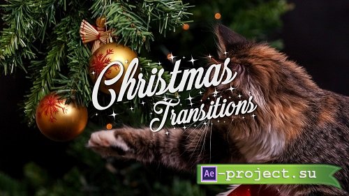Christmas Transitions Pack - Motion Graphics 143842