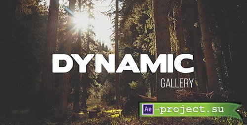Videohive: Dynamic Gallery 10470167 - Project for After Effects 