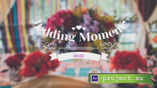  ProShow Producer - Wedding Title 11